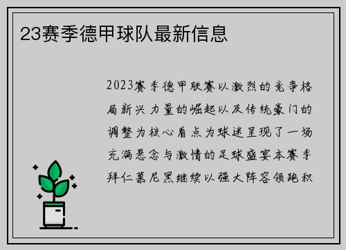 23赛季德甲球队最新信息